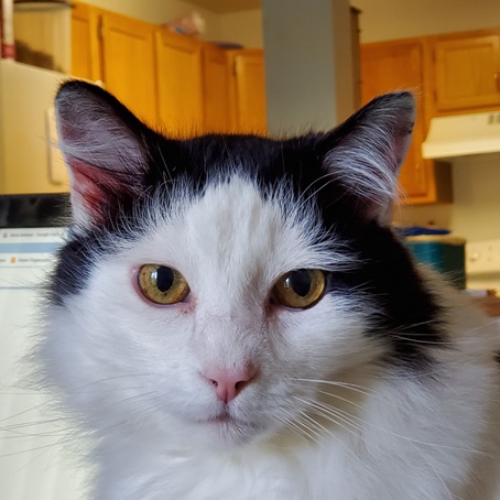 I Have a&nbsp;Domain!