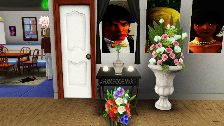 Precious Joy: Gen.&nbsp;3.17