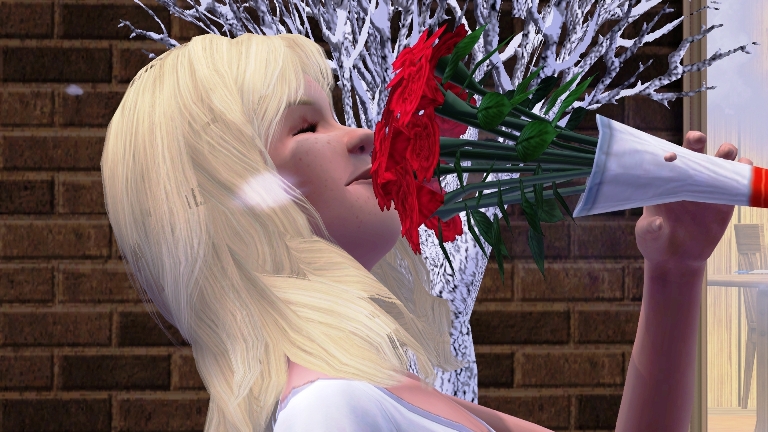 Adam Meets Lisa&nbsp;Bunch