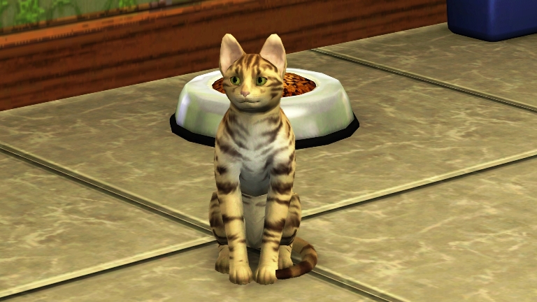 Fields of Gold –&nbsp;21