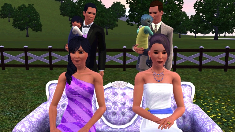 Fields of Gold –&nbsp;26